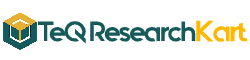 Teq Research Kart